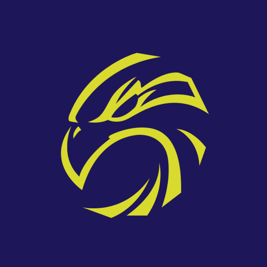 London Falcons Netball Club logo blue background London Falcons Netball Club logo blue background