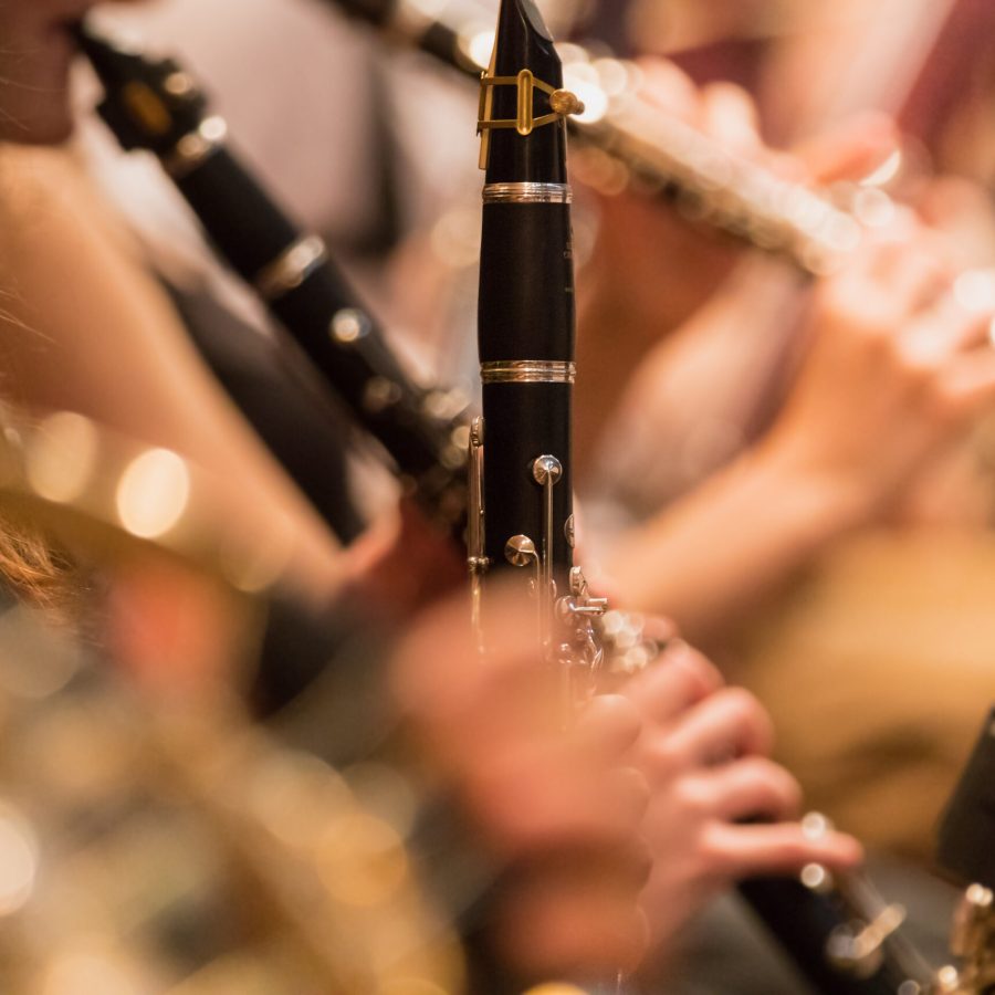 wind section during a classical concert music, close-up.